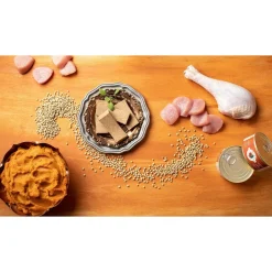 Clearance Four Star Canned Cat Food Turkey & Pumpkin Pate Wet Food Cans, Pouches, Tetra Paks, Etc.