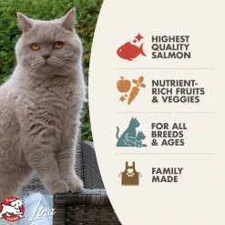 Online Four Star Cat Adult Salmon à la Veg Recipe Dry Food Dry Cat Food