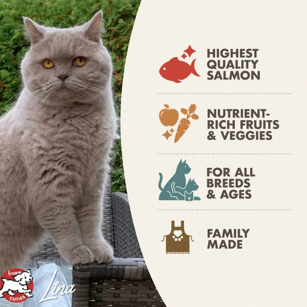 Online Four Star Cat Adult Salmon à la Veg Recipe Dry Food Dry Cat Food