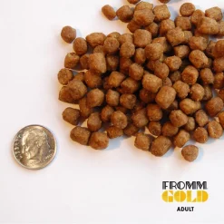 Outlet Gold Adult Cat Food Dry Food Dry Cat Food