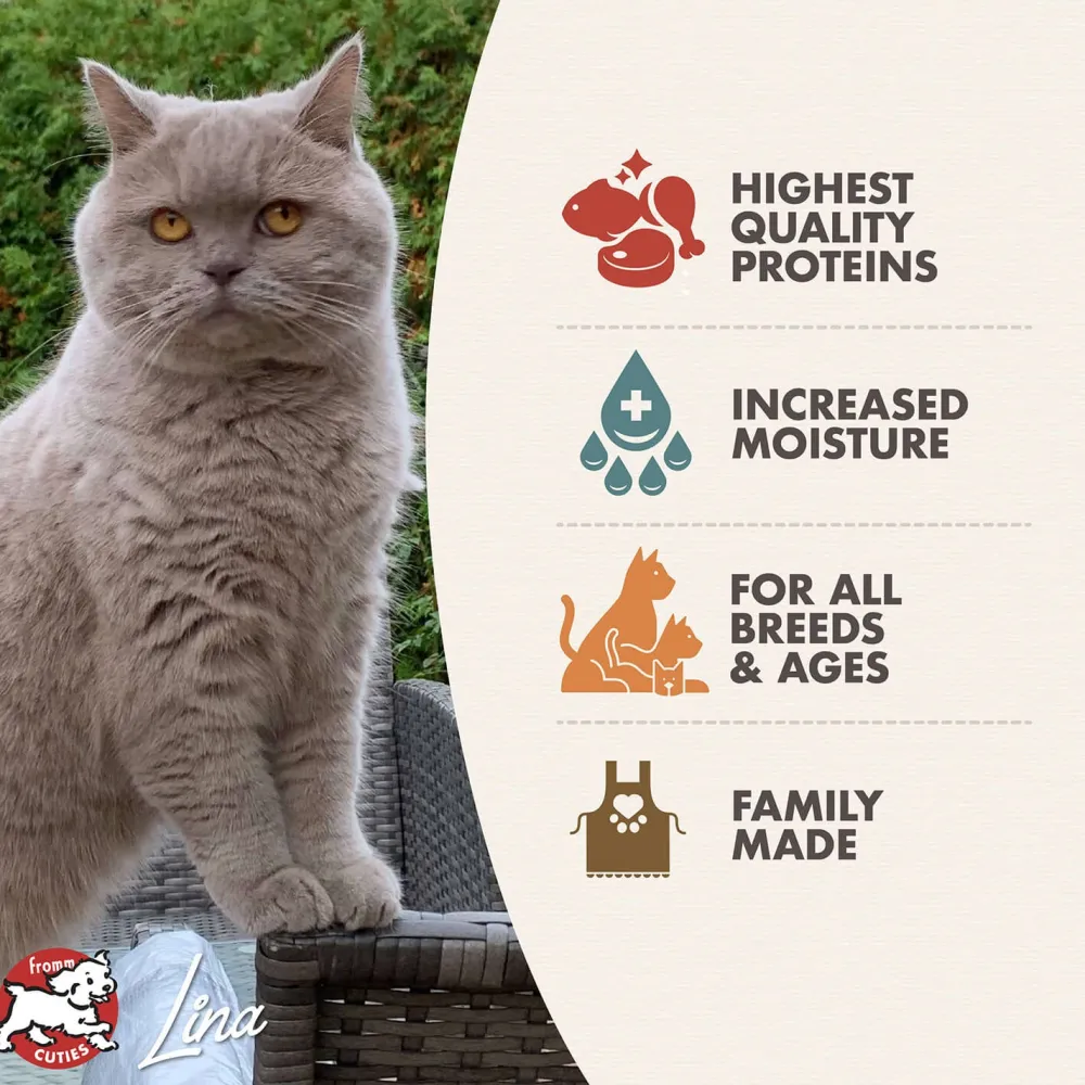 Fashion Gold Cat Can Indoor Chicken/Salmon Pate Wet Food Cans, Pouches, Tetra Paks, Etc.
