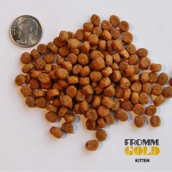 Hot Gold Kitten Food Dry Food Dry Cat Food