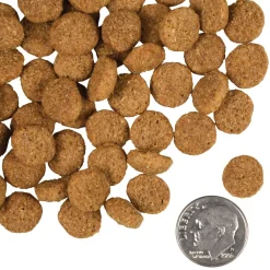 Best Gold Weight Management Dog Food Food Dry, Wet, Freeze Dried, Etc.
