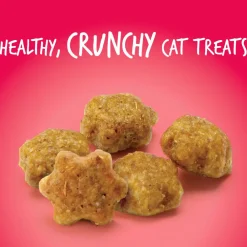 New Cat Treat Salmon & Cranberry Treats Crunchy, Soft, Lickable, Etc.