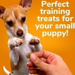 New Skinny Minis Watermelon Flavour Soft & Chewy Dog Treats Treats Treats & Chews