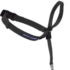 Discount Supplies Leashes, Collars, Beds, Flea & Tick, Etc.