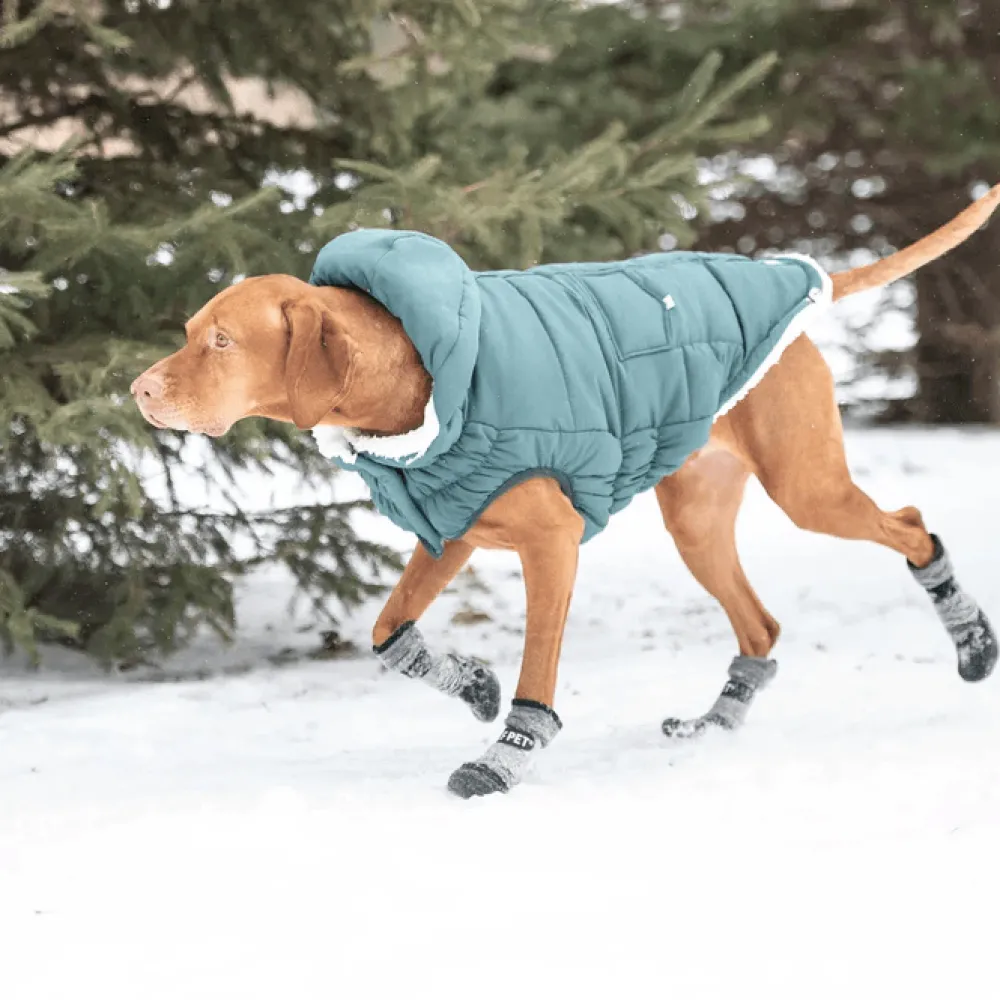 Best Boots For Dogs All Terrain Black Supplies Leashes, Collars, Beds, Flea & Tick, Etc.