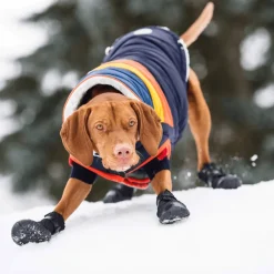 Outlet Elastofit Boots For Dogs Supplies Leashes, Collars, Beds, Flea & Tick, Etc.