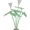 Best Colour-Changing Plant Extra Large Green Shop Fish Find All Of The Essentials