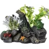 New Ornament Driftwood Extra Large Shop Fish Find All Of The Essentials