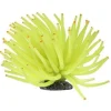 Online Ornament Yellow Anemone Shop Fish Find All Of The Essentials