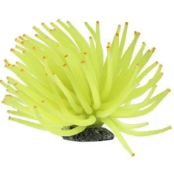 Online Ornament Yellow Anemone Shop Fish Find All Of The Essentials