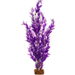 New Plant Extra Large Purple White Shop Fish Find All Of The Essentials