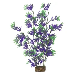 Best Plant Extra Large Purple Green Shop Fish Find All Of The Essentials