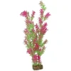 Hot Plant Extra Large Green Pink Shop Fish Find All Of The Essentials
