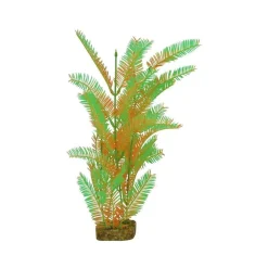 Hot Plant Extra Large Green Orange Shop Fish Find All Of The Essentials