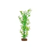 Best Plant Large Green Yellow Shop Fish Find All Of The Essentials