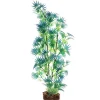Best Plant Large Green Blue Shop Fish Find All Of The Essentials