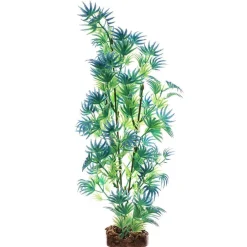 Best Plant Large Green Blue Shop Fish Find All Of The Essentials