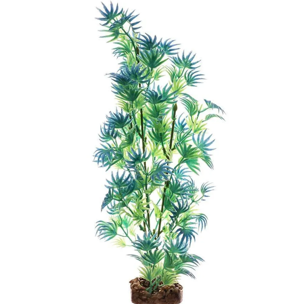 Best Plant Large Green Blue Shop Fish Find All Of The Essentials