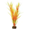 Sale Plant Large Orange Yellow Shop Fish Find All Of The Essentials