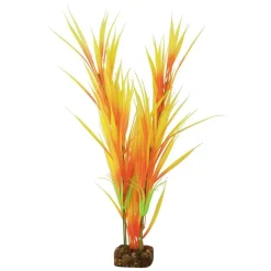 Sale Plant Large Orange Yellow Shop Fish Find All Of The Essentials