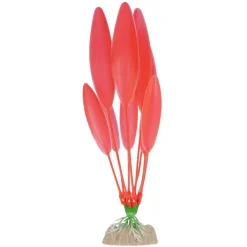 Fashion Plant Large Orange Shop Fish Find All Of The Essentials