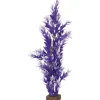Online Plant Large Purple White Shop Fish Find All Of The Essentials