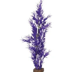 Online Plant Large Purple White Shop Fish Find All Of The Essentials