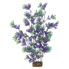 Sale Plant Large Purple Green Shop Fish Find All Of The Essentials