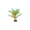 Best Plant Medium Green Orange Shop Fish Find All Of The Essentials
