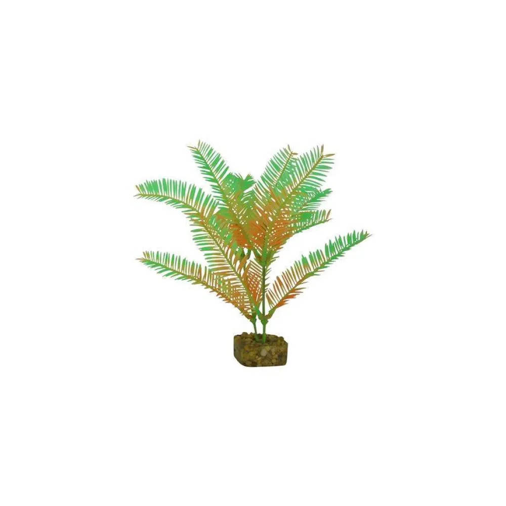 Best Plant Medium Green Orange Shop Fish Find All Of The Essentials