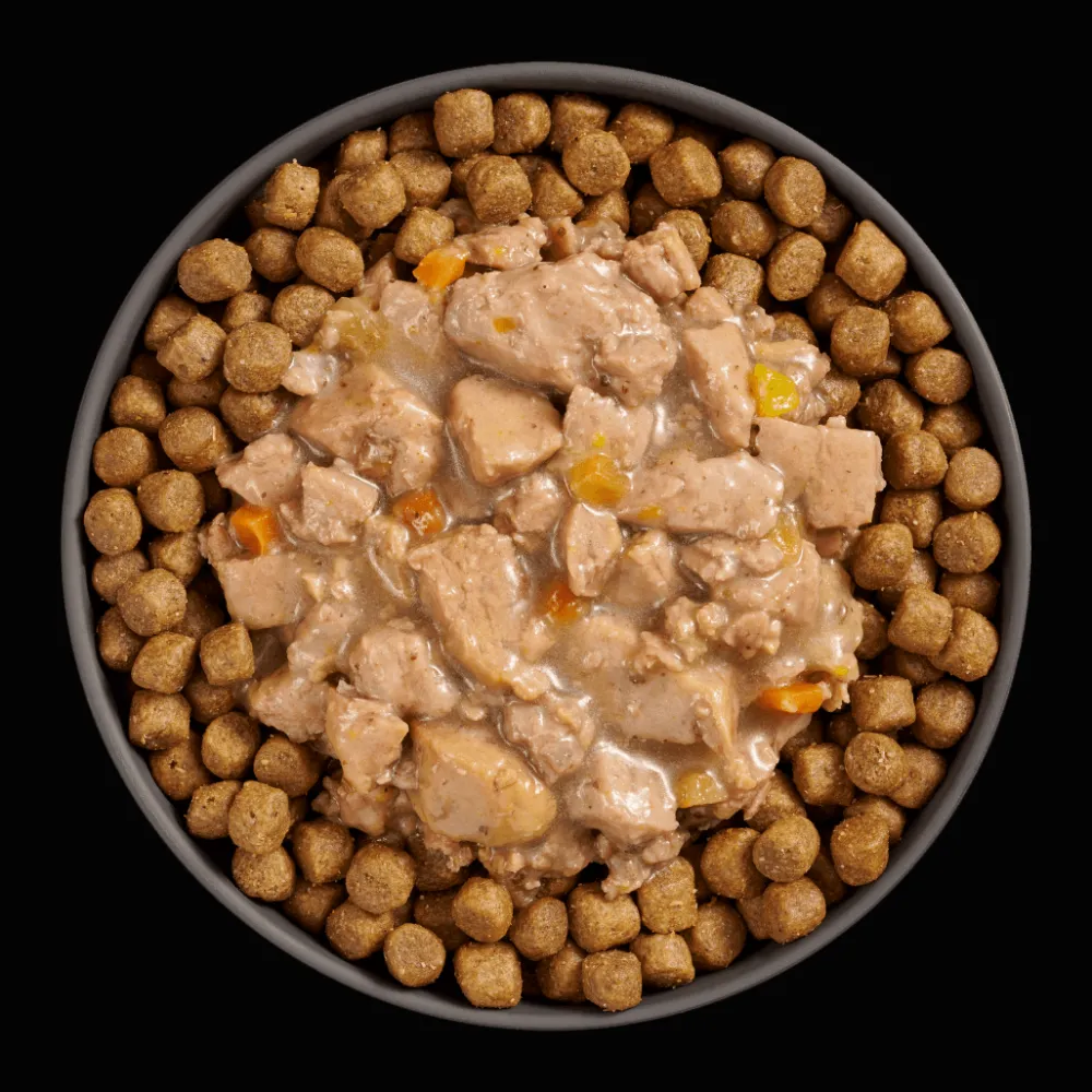 New Booster Digestive Health Minced Chicken + Duck with gravy for cats Wet Food Cans, Pouches, Tetra Paks, Etc. | Dry Food Dry Cat Food