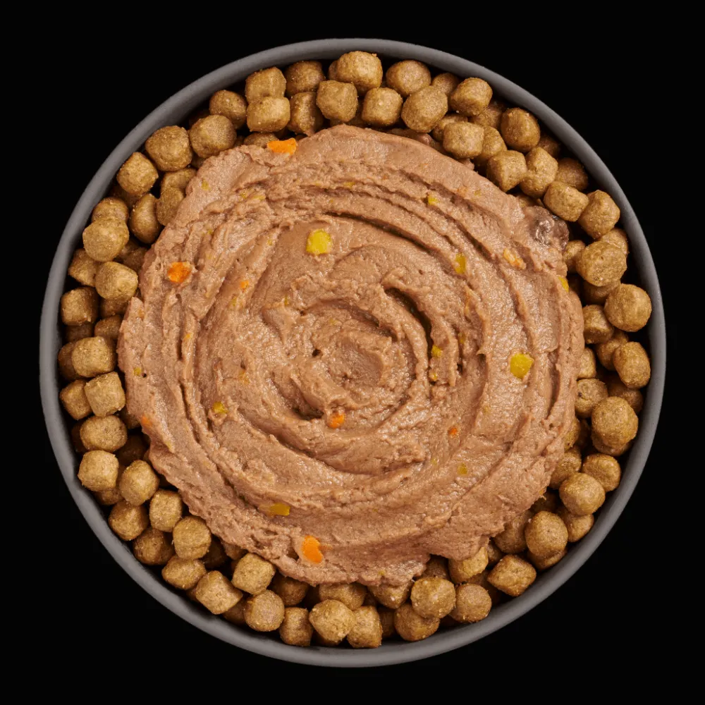 New Booster Immune Health Tuna Pâté for cats Wet Food Cans, Pouches, Tetra Paks, Etc. | Dry Food Dry Cat Food