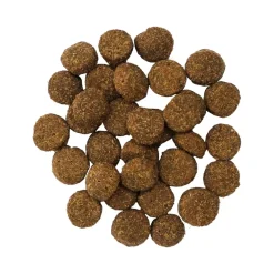 Fashion Digestion + Gut Health Salmon Recipe with Ancient Grains for dogs Food Dry, Wet, Freeze Dried, Etc.