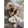 Outlet ! Flattie Opossum Supplies Leashes, Collars, Beds, Flea & Tick, Etc. | Toys Interactive, Plush, Etc.