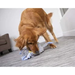 Outlet Frills The Triceratops Supplies Leashes, Collars, Beds, Flea & Tick, Etc. | Toys Interactive, Plush, Etc.