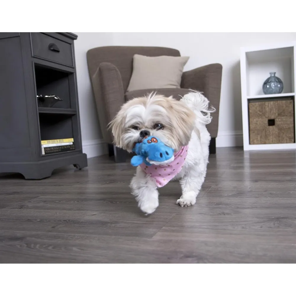 Best ! Just For Me Gator Blue Supplies Leashes, Collars, Beds, Flea & Tick, Etc. | Toys Interactive, Plush, Etc.