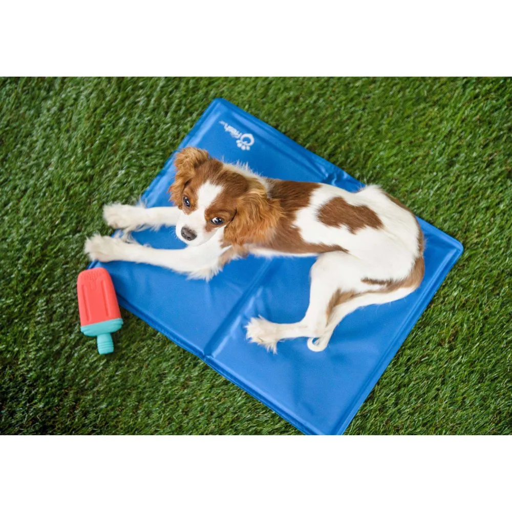 Fashion Go Fresh Pet Ice Cooling Mat Supplies Leashes, Collars, Beds, Flea & Tick, Etc.