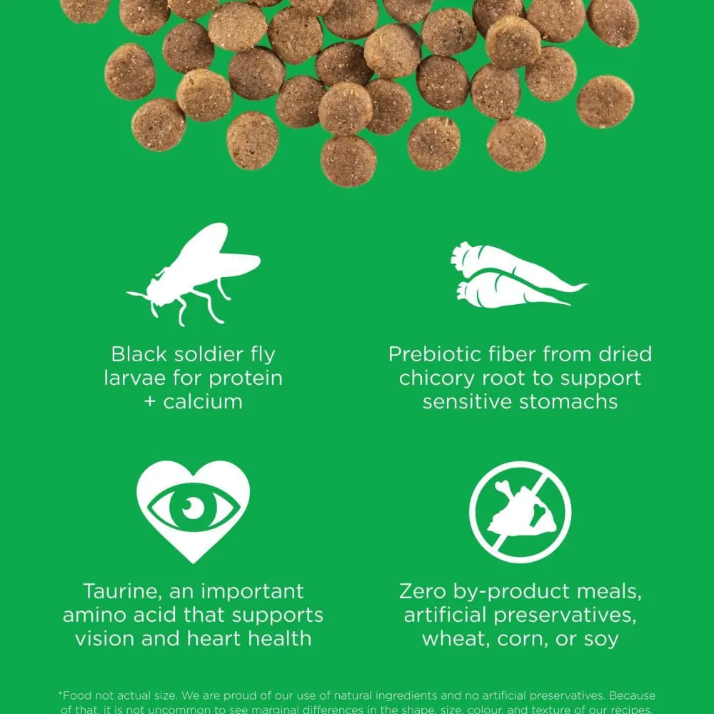 Best Sensitivities Limited Ingredient Grain Free Insect recipe for dogs Food Dry, Wet, Freeze Dried, Etc.