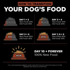 Clearance Skin + Coat Care Large Breed Adult Salmon Recipe With Grains for dogs Food Dry, Wet, Freeze Dried, Etc.