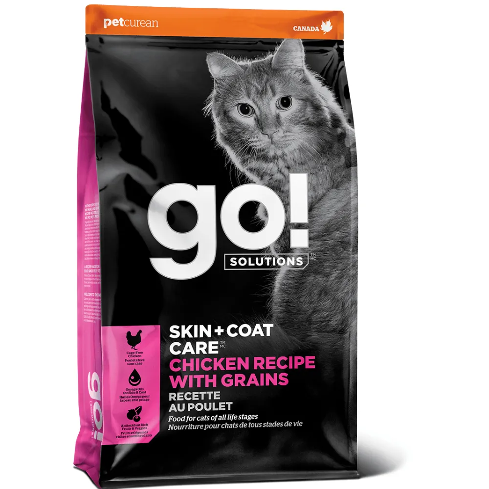 Online Skin + Coat Care Chicken Recipe With Grains for cats Dry Food Dry Cat Food