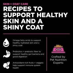 Online Skin + Coat Care Chicken Recipe With Grains for cats Dry Food Dry Cat Food