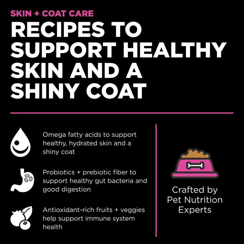 Online Skin + Coat Care Chicken Recipe With Grains for cats Dry Food Dry Cat Food