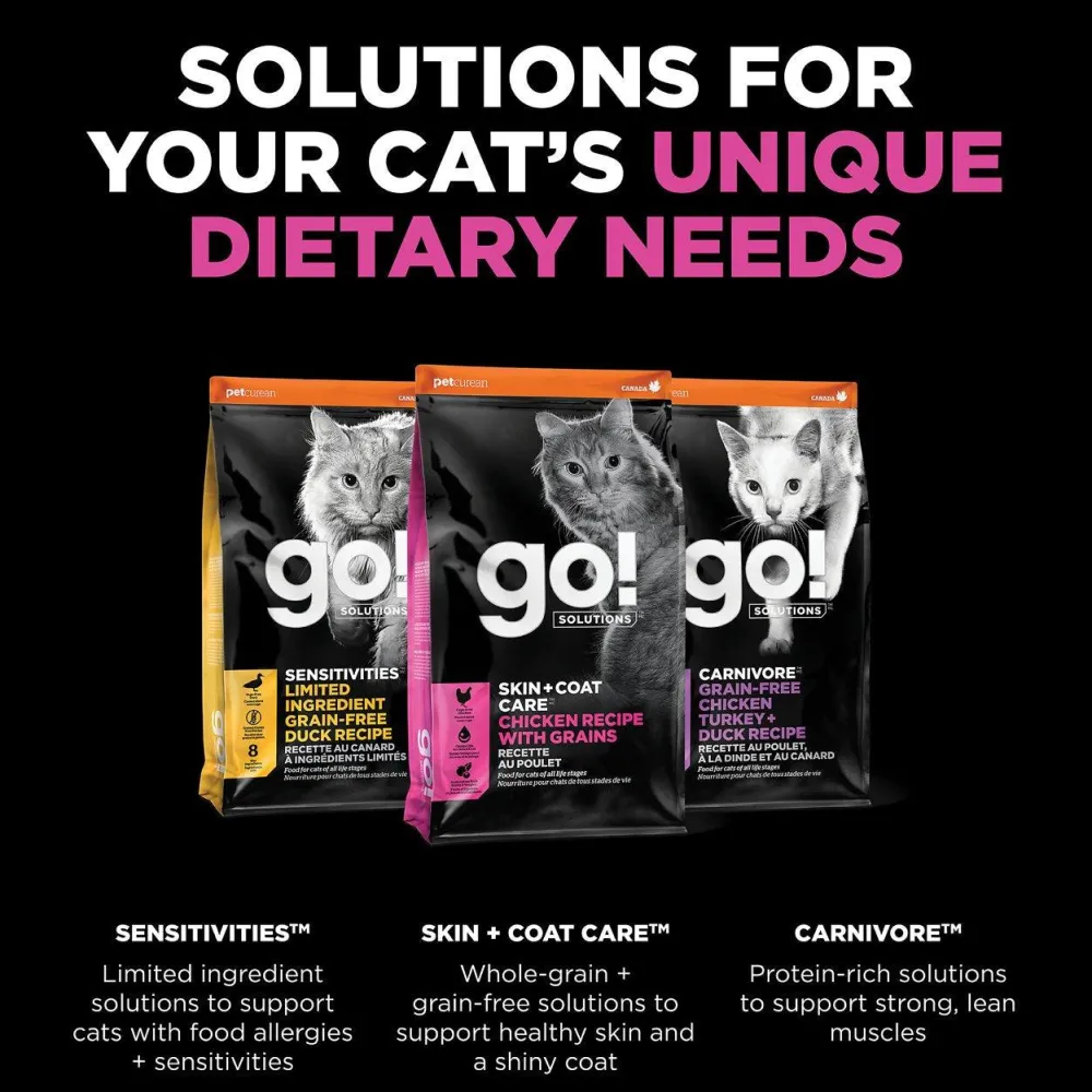Online Skin + Coat Care Chicken Recipe With Grains for cats Dry Food Dry Cat Food
