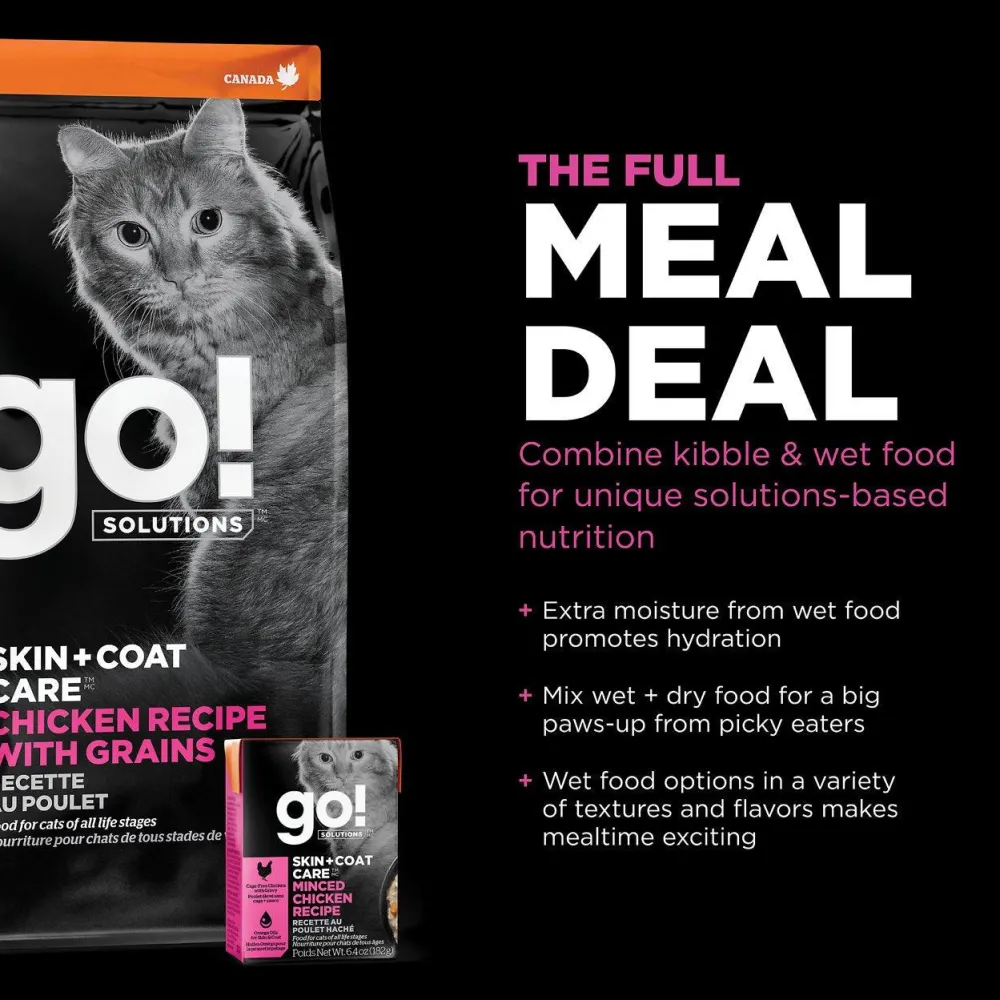 Online Skin + Coat Care Chicken Recipe With Grains for cats Dry Food Dry Cat Food