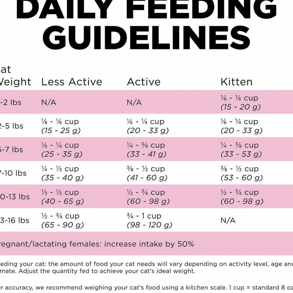 Online Skin + Coat Care Chicken Recipe With Grains for cats Dry Food Dry Cat Food