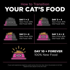 Online Skin + Coat Care Chicken Recipe With Grains for cats Dry Food Dry Cat Food