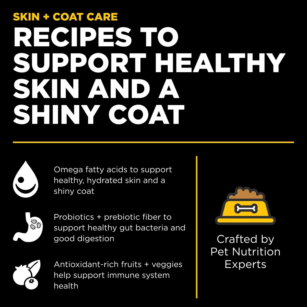 Best SKIN + COAT CARE Duck Recipe With Grains for dogs Food Dry, Wet, Freeze Dried, Etc.