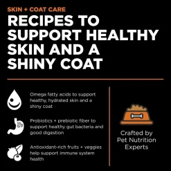 Sale Skin + Coat Care Grain Free Salmon Recipe for cats Dry Food Dry Cat Food